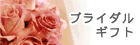 株式会社カーロカーラ